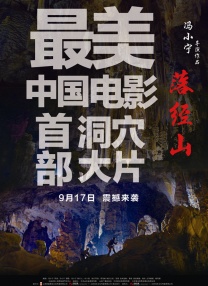 五月婷婷在线视频观看